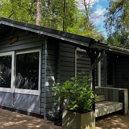 Dreamwoodz - Een Droomchalet Op De Veluwe Laag-Soeren Dış mekan fotoğraf