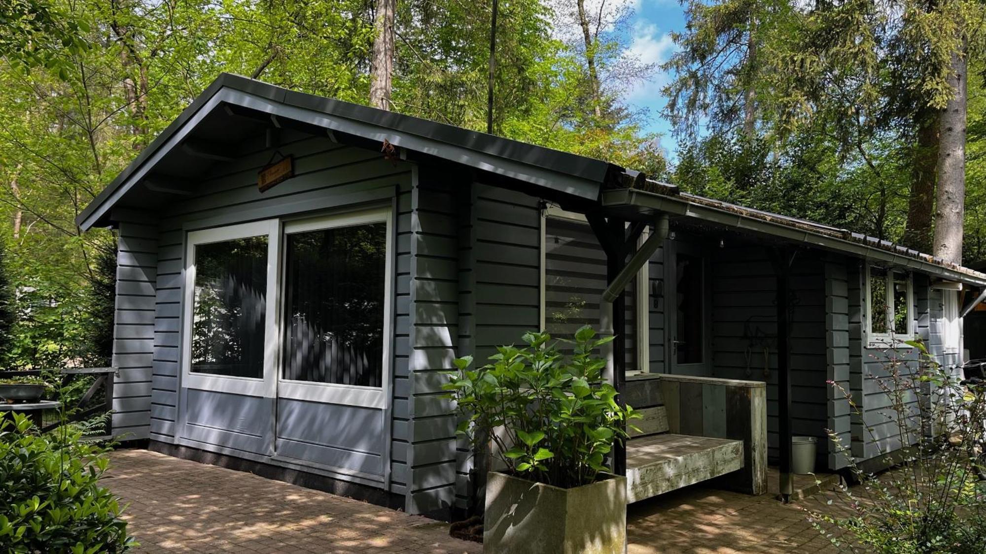 Dreamwoodz - Een Droomchalet Op De Veluwe Laag-Soeren Dış mekan fotoğraf