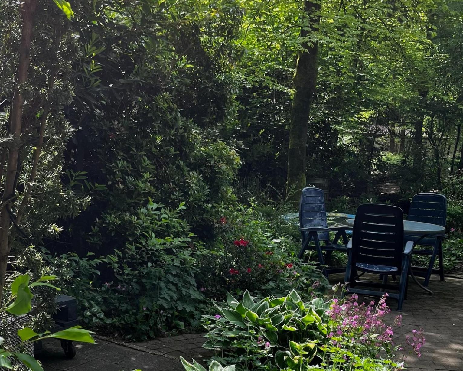 Dreamwoodz - Een Droomchalet Op De Veluwe Laag-Soeren Dış mekan fotoğraf