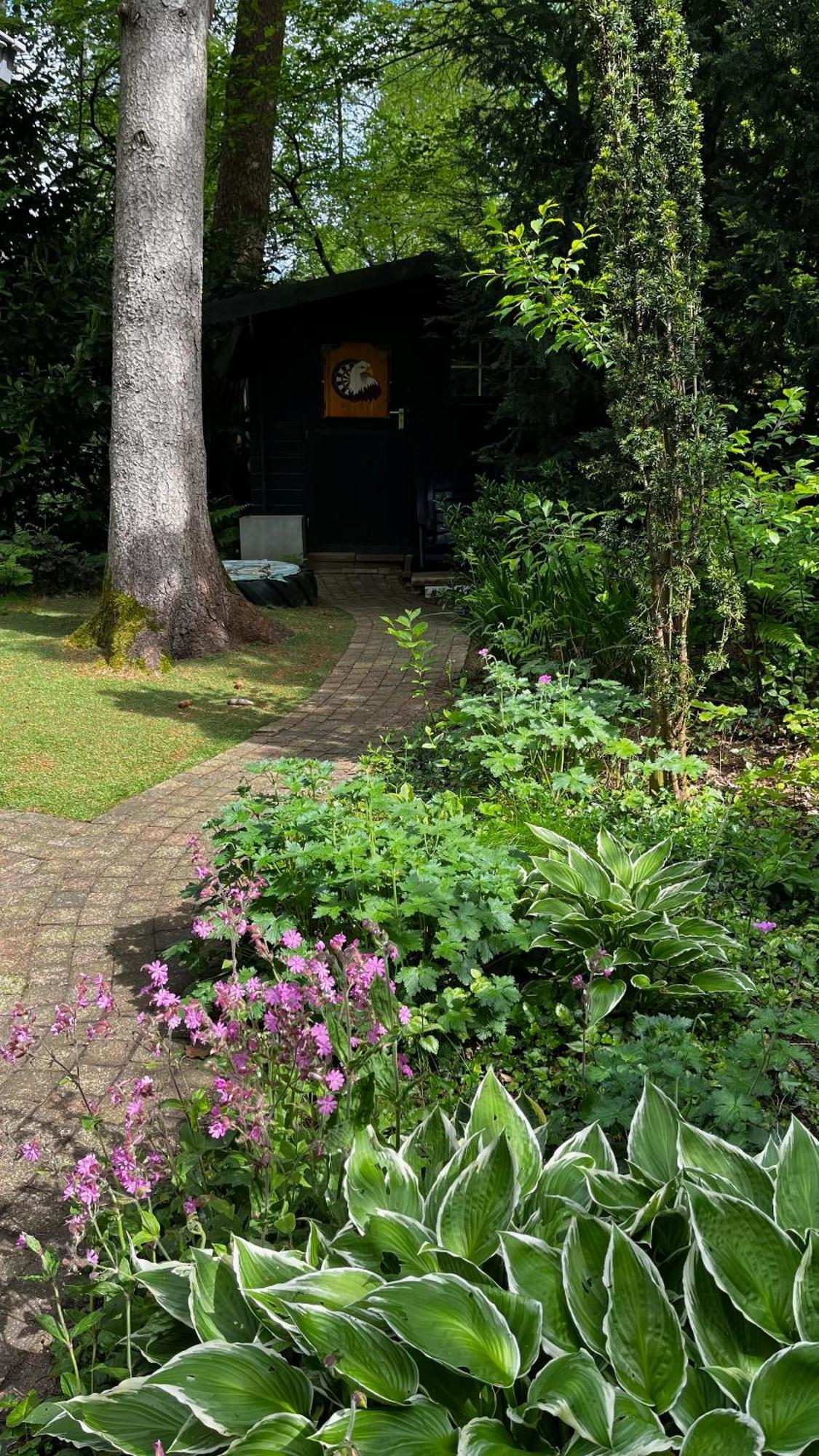 Dreamwoodz - Een Droomchalet Op De Veluwe Laag-Soeren Dış mekan fotoğraf