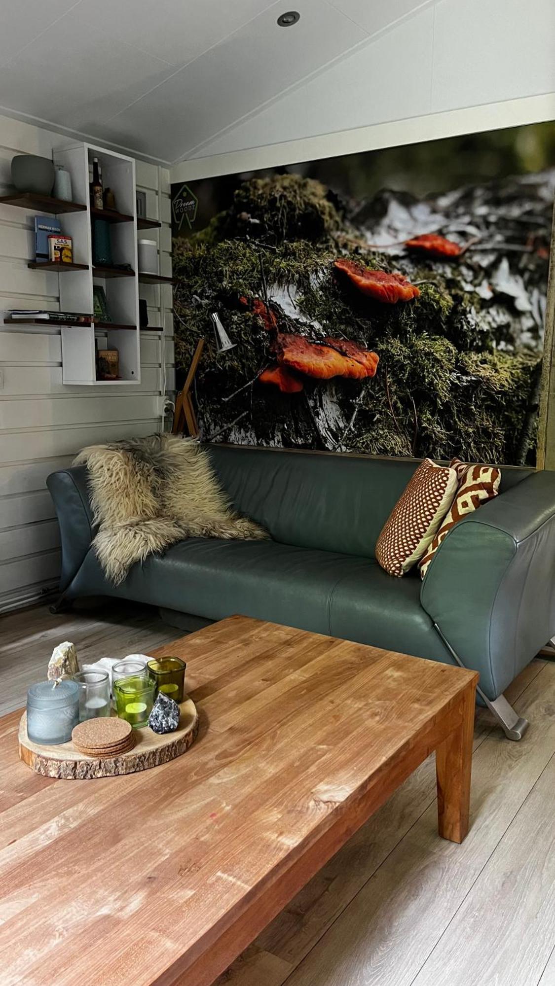 Dreamwoodz - Een Droomchalet Op De Veluwe Laag-Soeren Dış mekan fotoğraf